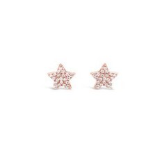 Absolute Jewellery Jewel Earrings Rose Gold JE253RS