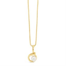 Absolute Jewellery Necklace Gold N2389GL