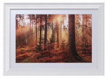 Grange Living Forest Picture 115*84cm