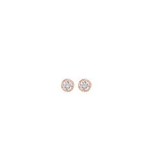 Absolute Jewellery Rose Gold Earrings E050RS