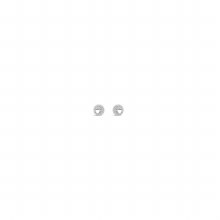 Earring Sterlng Silver SE198SL