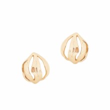 Tipperary Crystal Shell Earrings Gold