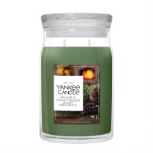 Signature Large Jar Balsam & Cedar
