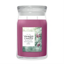 Signature Large Jar Sparkling Winterberry