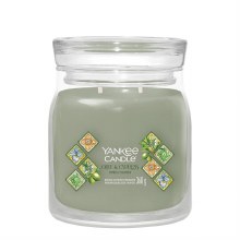 Yankee Candle Signature Medium Jar Olive & Cypress