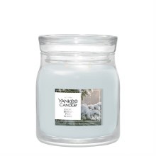 Signature Medium Jar Snow Kissed Pine