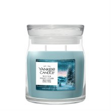 Signature Medium Jar Winter Night Stars