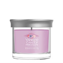 Yankee Candle Signature Small Tumb Summit Stargazing