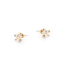 Tipperary Crystal Star Burst CZ Earrings Gold
