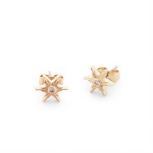 Tipperary Crystal Star Compass Earrings Gold