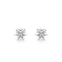 Tipperary Crystal Star Compass Earrings Silver