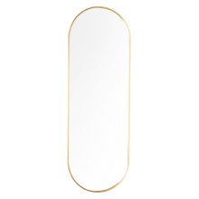 Tara Lane Wall Mirror Gold Pill Shape