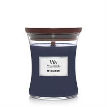 WoodWick Candles Mediumium Jar Antiquarium