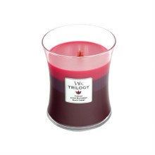WoodWick Candle Medium Jar Tri Sun Ripen Berries