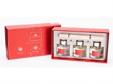 Newgrange Living Xmas Mini Luxury Diffuser Set