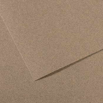 Mi-Teintes Paper Sheets, 19" x 25", Steel Gray