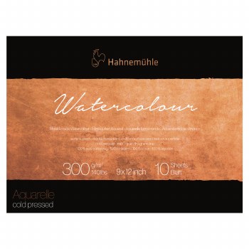 Hahnemuhle "The Collection" Watercolor Paper Blocks, Cold-Pressed, 9" x 12", 140 lb. 10 Sheets/Pad