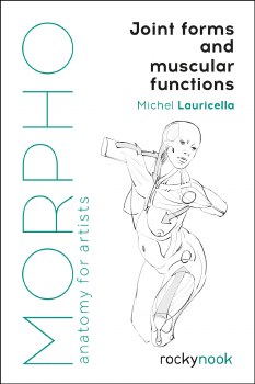 Morpho Joint Forms and Muscular Functions