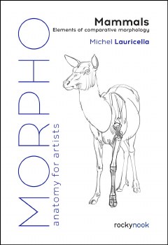 Morhpo: Mammals: Elements of Comparative Morphology