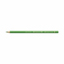 Polychromos Artist Colored Pencils, Leaf Green