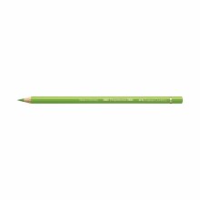 Polychromos Artist Colored Pencils, Grass Green