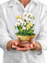 Mini Serenity Orchid FreshCut Paper Flower Bouquet
