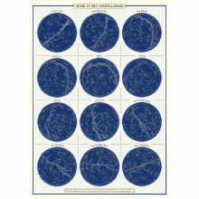 Cavallini & Co. Decorative Italian Paper, Constellations