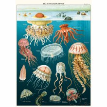 Cavallini & Co. Decorative Italian Paper, Ocean Jellyfish