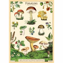 Cavallini & Co. Decorative Italian Paper, Foraging