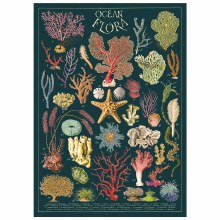 Cavallini & Co. Decorative Italian Paper, Ocean Flora