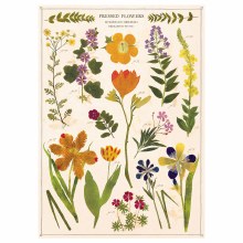 Cavallini & Co. Decorative Italian Paper, Pressed Flower