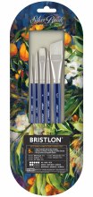 Silver Brush - Bristlon 5 Piece Detail Set