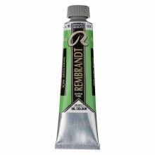 Rembrandt Oil Paint, 40ml, Permanent Green Medium