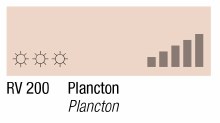MTN 94 Plancton Brown