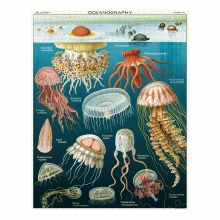 Additional picture of Cavallini & Co. Vintage Inspired 1,000 Piece Puzzles, Jellyfish