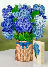 Additional picture of FreshCut Paper Flowers Nantucket Hydrangeas