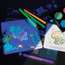 Additional picture of Glow STEAM Activity Pack, Nature