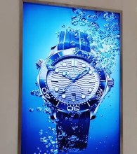 EZ-BACKLIT PET FILM MATTE 54" x 100'