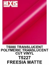 Hexis Translucent Freesia Pink  48"