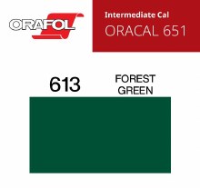 30" ORACAL 651 INTERMEDIATE CALENDER CUT VINYL FOREST GREEN 613