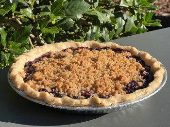 Just in Time Treats - Blueberry Pie 10in