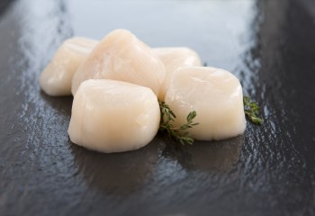 Dry Scallops