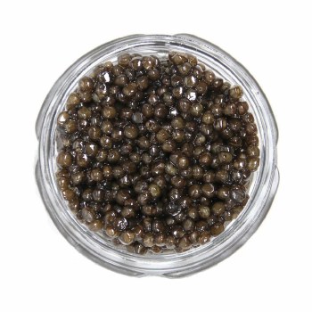 Caviar Star - Royal California White Sturgeon