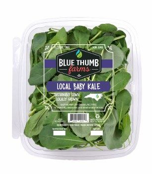 Baby Kale