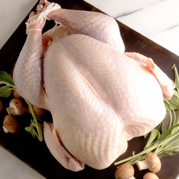 Heritage Black Turkey 16 lb and Up $20.00 is DEPOSIT ONLY