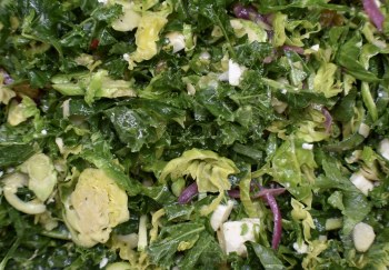 Kale &amp; Brussel Salad