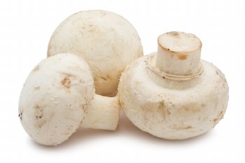 Mushroom - Buttom