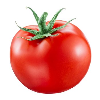 Tomato - Slicing
