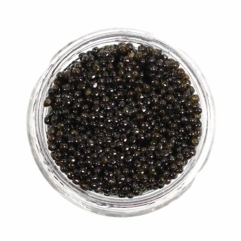 Caviar Star - American Hackleback Sturgeon