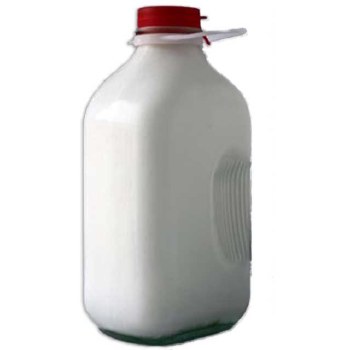 Whole Milk - Half Gallon